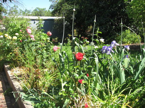 Goat Square Cottages - Northern Rivers Accommodation 2