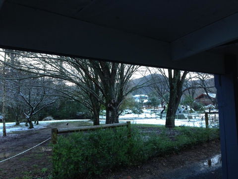 Goldberryaccommodation - Northern Rivers Accommodation 3