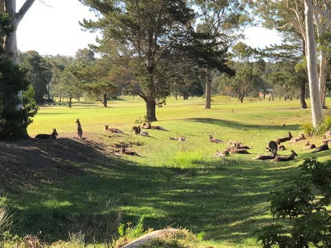 Golf View Motel - Northern Rivers Accommodation 1