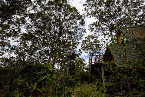 Green Leaves Cabin - Northern Rivers Accommodation 0