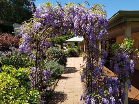 Gumtree House Montville - Northern Rivers Accommodation 0