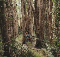 Habitat Noosa - Northern Rivers Accommodation