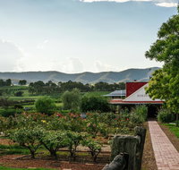 Hanging Tree Wines - Northern Rivers Accommodation