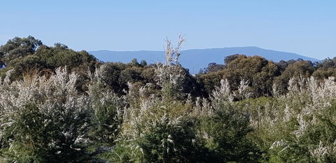 Hideaway Valley Farm - Northern Rivers Accommodation 1