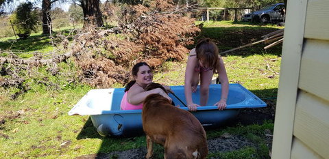 Hideaway Valley Farm - Northern Rivers Accommodation 3