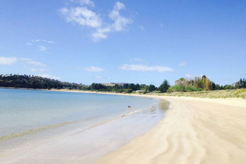 Hobart Beach Front Cottage - Northern Rivers Accommodation 0