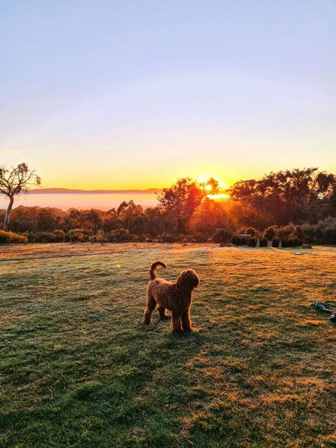 Horningsea - Northern Rivers Accommodation 3