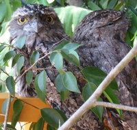 Karma Cottage - Northern Rivers Accommodation