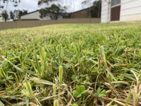 Book Karoonda Accommodation Vacations Northern Rivers Accommodation Northern Rivers Accommodation