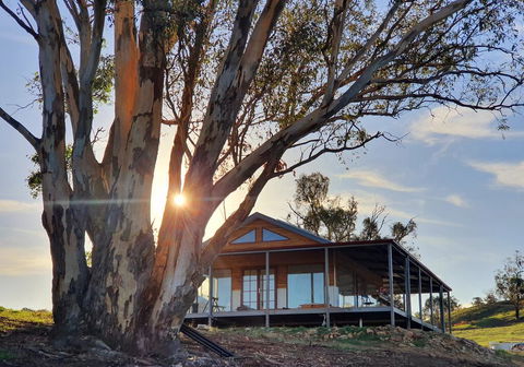 Kestrel Nest EcoHut - Northern Rivers Accommodation 0
