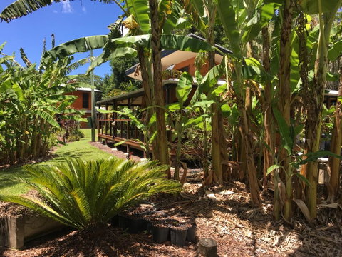Kin Kin Cottage Retreat - Northern Rivers Accommodation 3