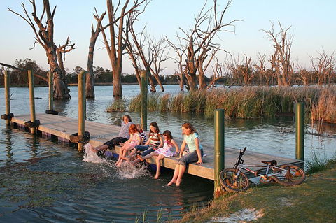 Kingston-on-Murray Caravan Park - Northern Rivers Accommodation 0