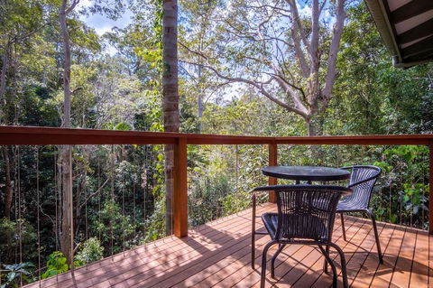 Kondalilla Eco Resort - Northern Rivers Accommodation 3