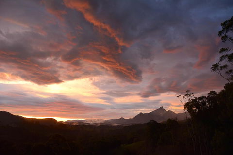 La RochÃ©r Eco Retreat - Northern Rivers Accommodation 0