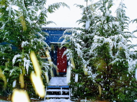 Lakeside Studio - Northern Rivers Accommodation 0
