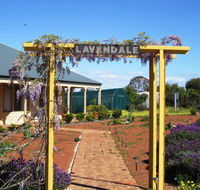 Lavendale Farmstay and Cottages York - Northern Rivers Accommodation