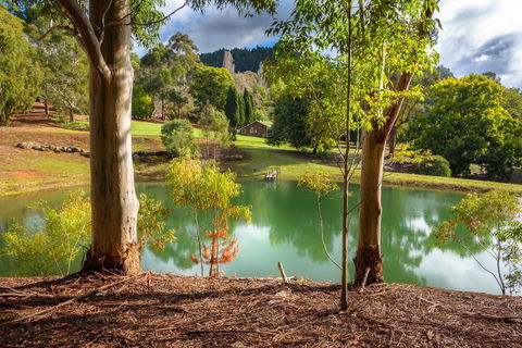 Lewana Cottages - Northern Rivers Accommodation 1
