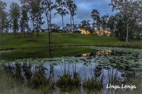 Book Curra Accommodation Vacations Northern Rivers Accommodation Northern Rivers Accommodation