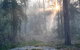 Lucky Mountain Cottage - thumb 1