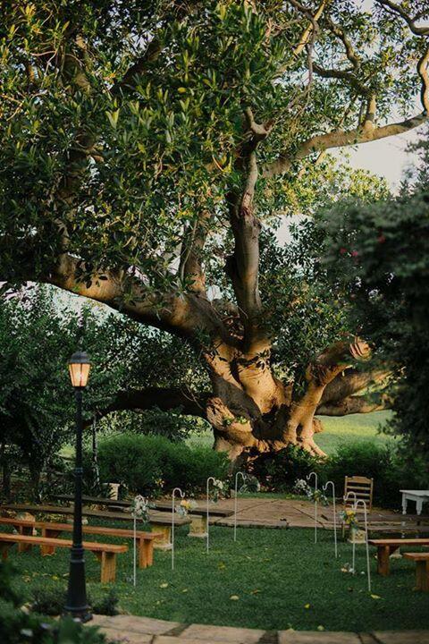 Maddies Of Bolwarra - Northern Rivers Accommodation 3