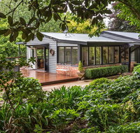 Magnolias on Mernda