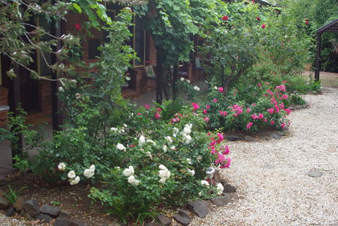 Motel Maldon - Northern Rivers Accommodation 0