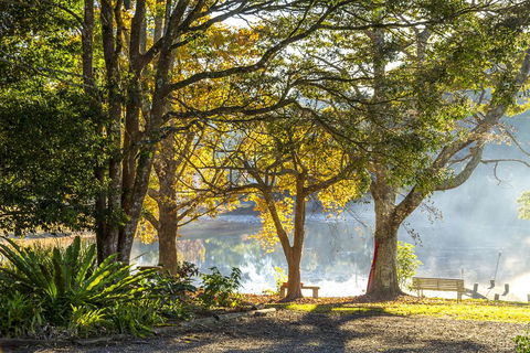 Maleny Lake Cottages-Guesthouse - Northern Rivers Accommodation 2