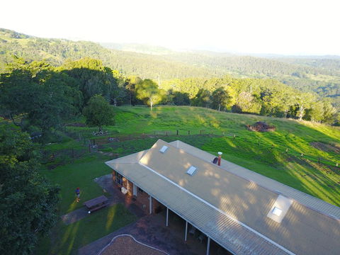 Maleny Orchard - Northern Rivers Accommodation 3