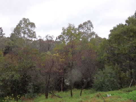 Mandall Avenue - Northern Rivers Accommodation 2