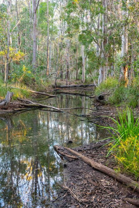 Mango Lodge At River Heads - Northern Rivers Accommodation 3