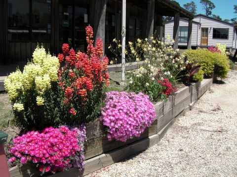 Mansfield Holiday Park - Northern Rivers Accommodation 3