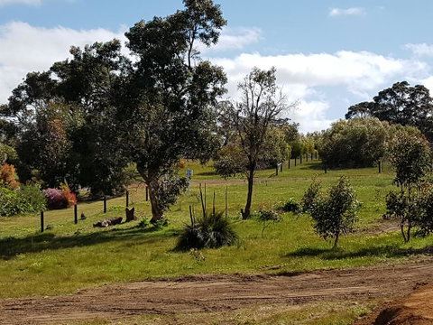 Margies Place - Northern Rivers Accommodation 1
