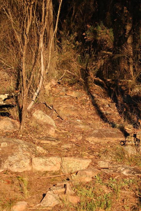 Maric Park Cottages - Northern Rivers Accommodation 3