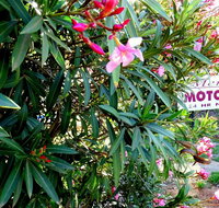 Mercury motor inn - Northern Rivers Accommodation