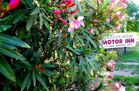 Mercury Motor Inn - Northern Rivers Accommodation 0