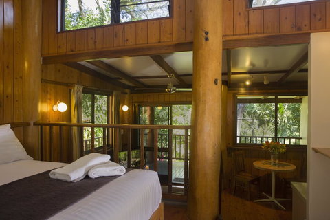 Milkwood Lodge - Northern Rivers Accommodation 2