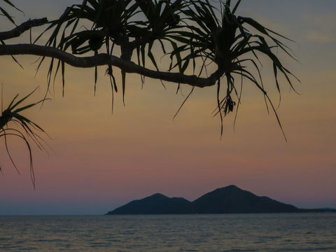 Mission Beach Hideaway Holiday Village - Northern Rivers Accommodation 1