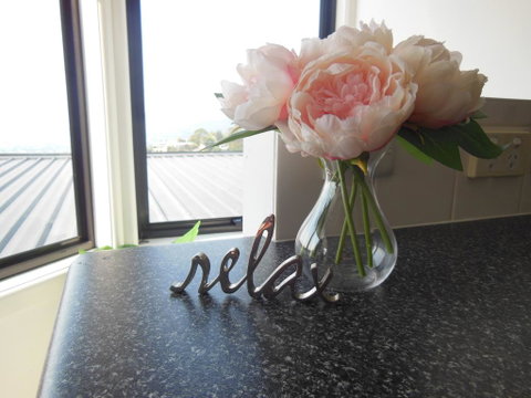 Modern Hobart Apartment With Stunning Views - Northern Rivers Accommodation 0