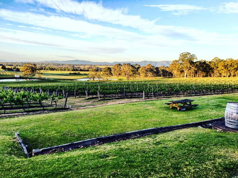 Molly Morgan Vineyard - Northern Rivers Accommodation 1