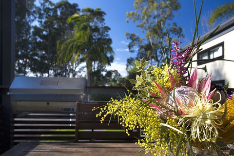 Mollymook Caravan Park - Northern Rivers Accommodation 2