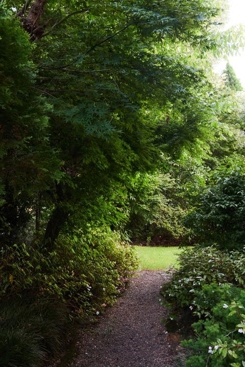 Mountain Sojourn - Northern Rivers Accommodation 3