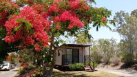 Book Mount Larcom Accommodation Vacations Northern Rivers Accommodation Northern Rivers Accommodation