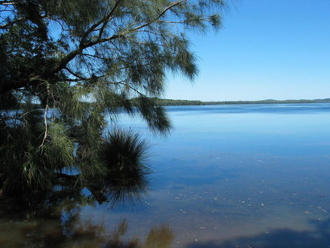 Myall River Magic - Northern Rivers Accommodation 1
