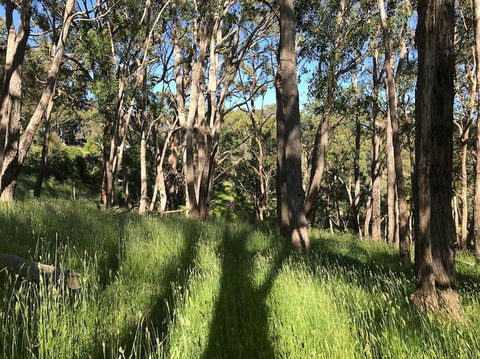 Mylor Farm, Adelaide Hills - Northern Rivers Accommodation 0