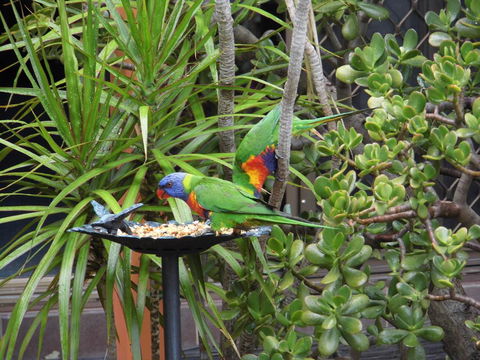 Nanango Fitzroy Motel - Northern Rivers Accommodation 2