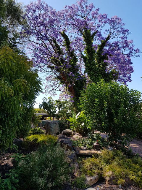 Jacaranda Hideaway Bed & Breakfast - Northern Rivers Accommodation 10