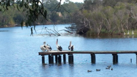 Jacaranda Hideaway Bed & Breakfast - Northern Rivers Accommodation 18