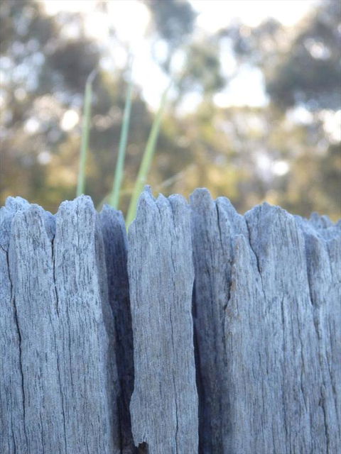 Swan Valley Sisters - Northern Rivers Accommodation 28
