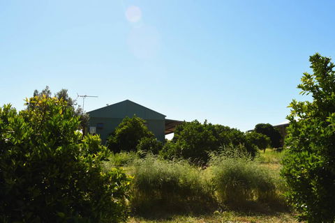 Swan Valley Sisters - Northern Rivers Accommodation 27