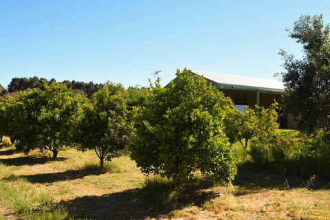 Swan Valley Sisters - Northern Rivers Accommodation 30